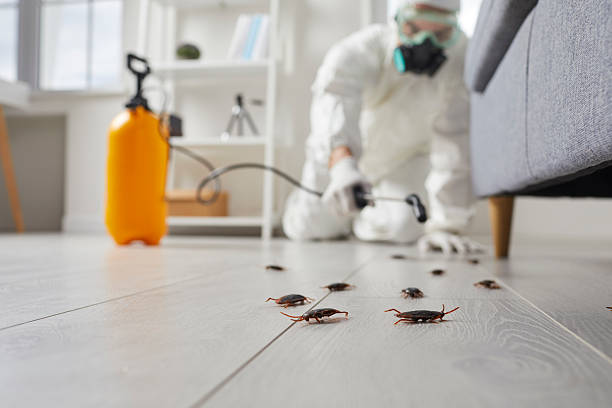 Commercial Kitchen Cockroach Control in McKeesport